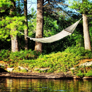 cottage hammock